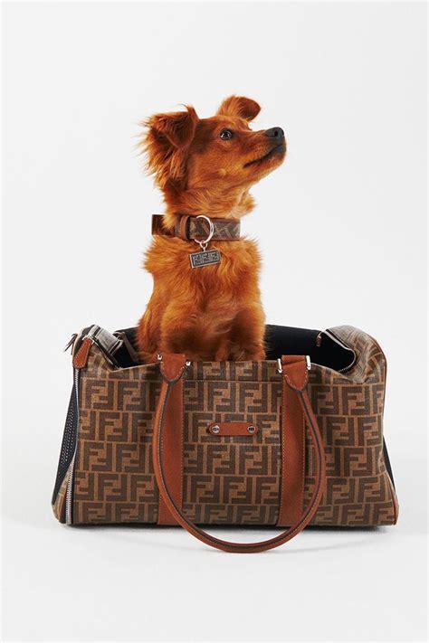 Fendi Launches Pets Accessories Collection .